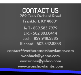 Contact Us